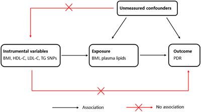 BMI and plasma lipid levels with risk of proliferative diabetic retinopathy: a univariable and multivariable Mendelian randomization study
